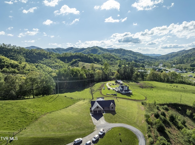 138 Ray Cemetery Rd, Roan Mountain, TN 37687 - overview of rural landscape featuring a mountain backdrop