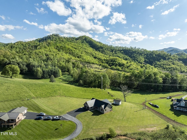 138 Ray Cemetery Rd, Roan Mountain, TN 37687 - aerial view of sparsely populated area featuring a heavily wooded area and a mountainous background