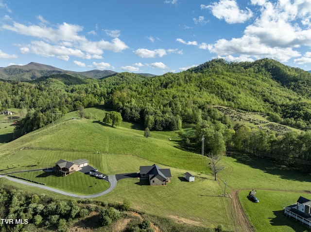 138 Ray Cemetery Rd, Roan Mountain, TN 37687 - overview of rural landscape featuring a mountainous background and a forest