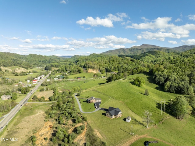 138 Ray Cemetery Rd, Roan Mountain, TN 37687 - overview of rural landscape featuring a heavily wooded area and a mountain backdrop