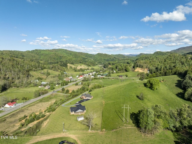 138 Ray Cemetery Rd, Roan Mountain, TN 37687 - aerial overview of property's location with a forest and rural landscape