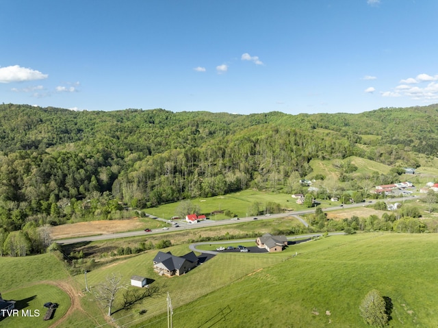 138 Ray Cemetery Rd, Roan Mountain, TN 37687 - aerial view of property's location with a heavily wooded area, rural landscape, and agricultural land