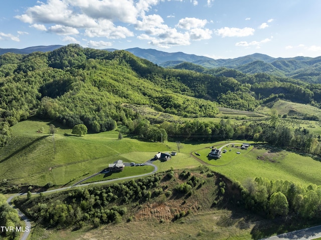 138 Ray Cemetery Rd, Roan Mountain, TN 37687 - aerial view of property's location with a mountain backdrop and rural landscape