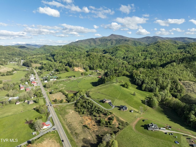 138 Ray Cemetery Rd, Roan Mountain, TN 37687 - aerial view of property and surrounding area featuring a heavily wooded area and mountains