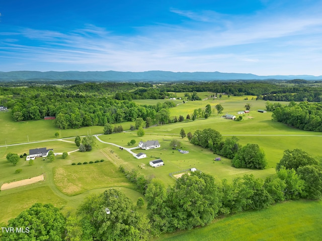 1905 Martin Rd, Limestone, TN 37681 - drone / aerial view of a mountain backdrop