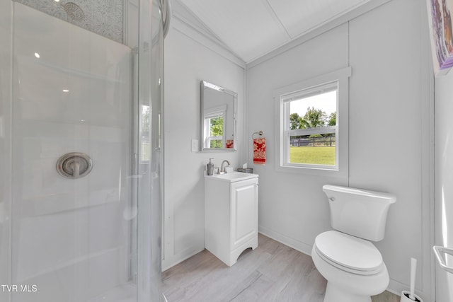 1905 Martin Rd, Limestone, TN 37681 - full bath with lofted ceiling, a stall shower, wood finished floors, toilet, and vanity