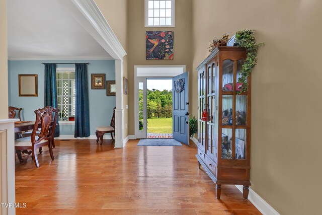 1905 Martin Rd, Limestone, TN 37681 - entryway featuring plenty of natural light, light wood-style flooring, baseboards, ornamental molding, and a high ceiling