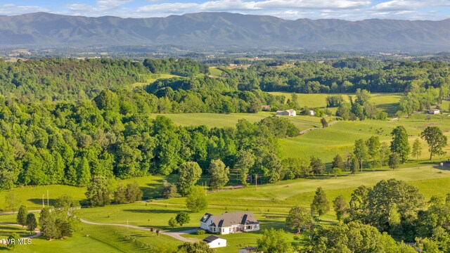 1905 Martin Rd, Limestone, TN 37681 - drone / aerial view of mountains