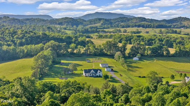 1905 Martin Rd, Limestone, TN 37681 - overview of rural landscape with mountains