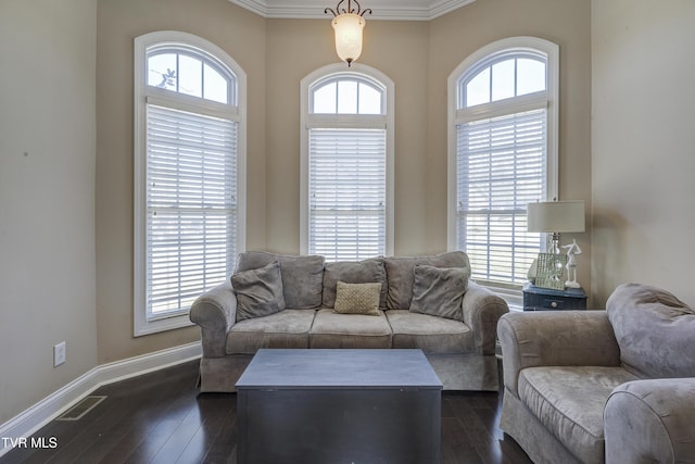 2909 Greenline Rd, Johnson City, TN 37604 - living area featuring ornamental molding, baseboards, and dark wood-type flooring