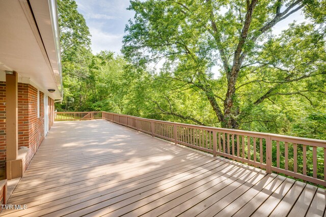112 Borderview Ave, Elizabethton, TN 37643 - photo 31