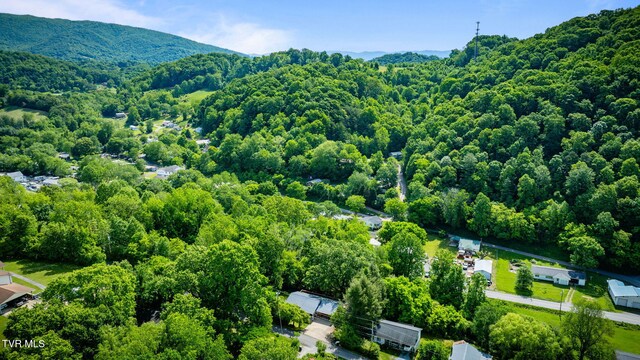 112 Borderview Ave, Elizabethton, TN 37643 - photo 36