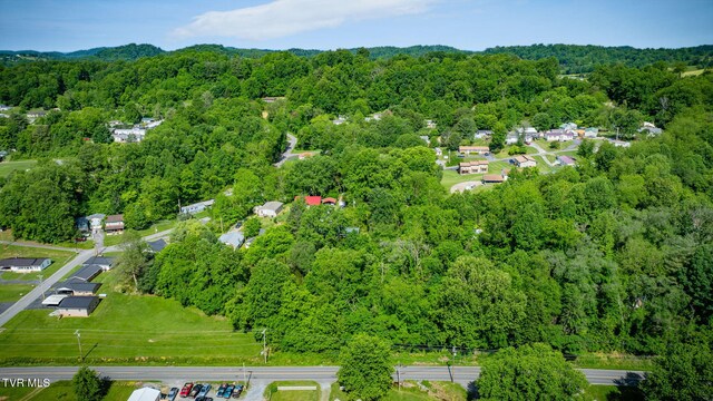 112 Borderview Ave, Elizabethton, TN 37643 - photo 37