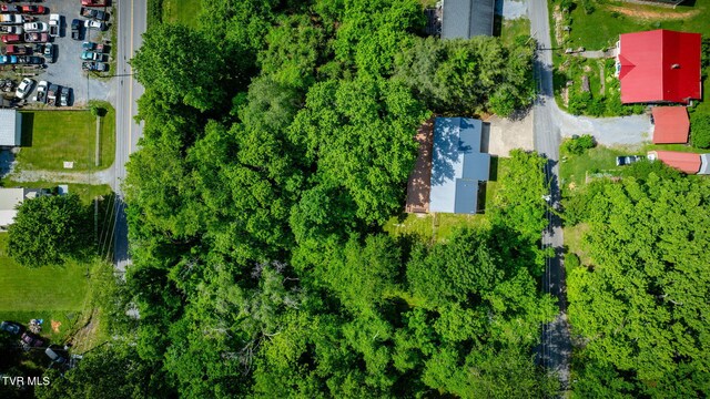 112 Borderview Ave, Elizabethton, TN 37643 - photo 39