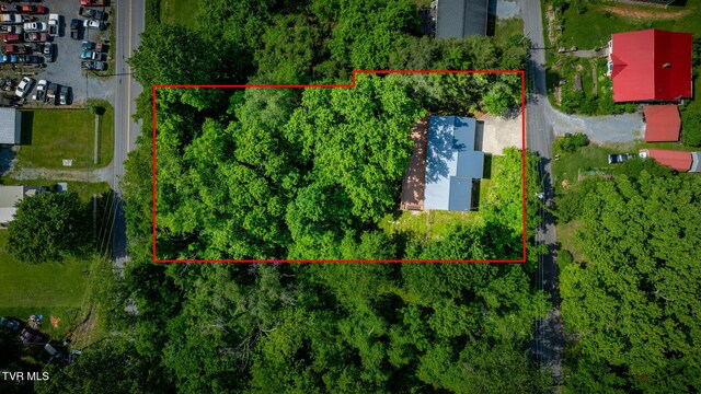112 Borderview Ave, Elizabethton, TN 37643 - photo 40