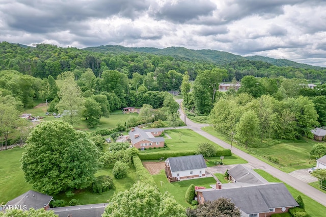 713 N Church St, Mountain City, TN 37683 - photo 73