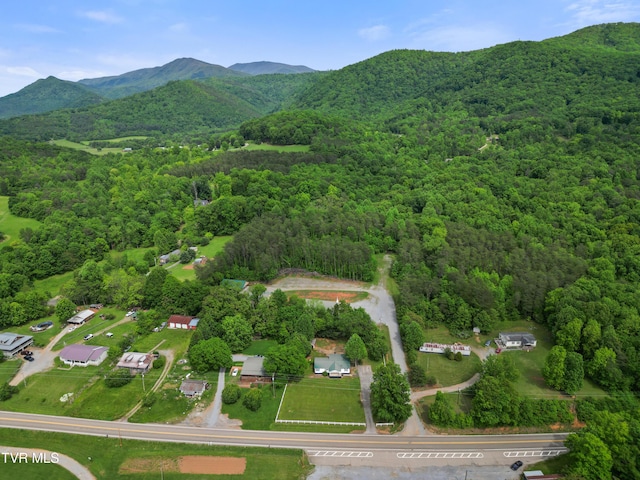 11047 Asheville Hwy, Greeneville, TN 37743 - photo 13