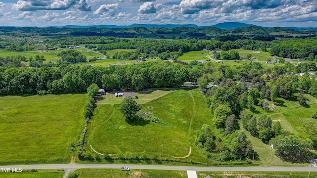 135 Abc Rd, Limestone, TN 37681 - aerial view of sparsely populated area featuring a mountain backdrop