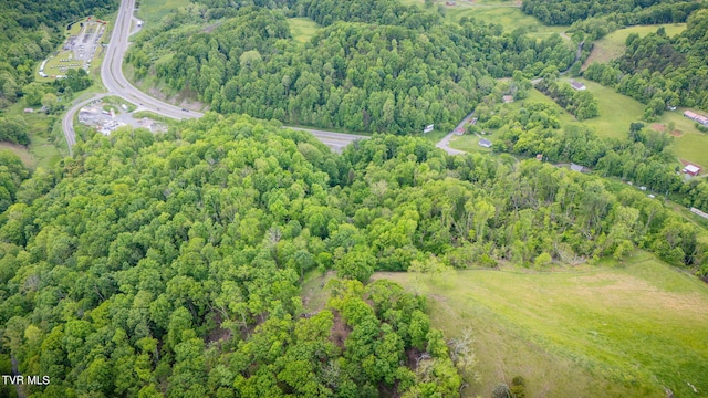 Tbd US Highway 19, Lebanon, VA 24266