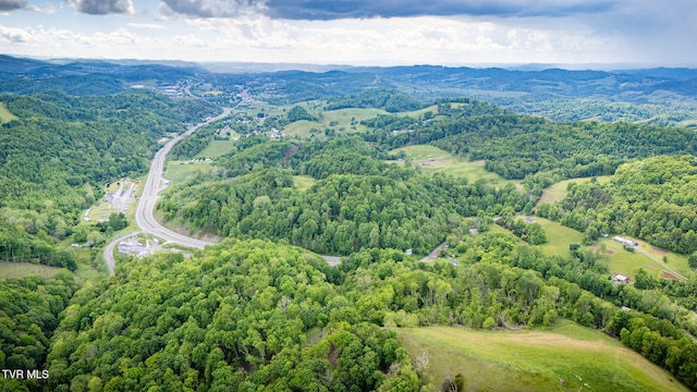 Tbd US Highway 19, Lebanon, VA 24266