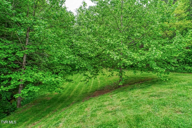596 Devils Nose Rd, Rogersville, TN 37857 - view of green lawn with a view of trees