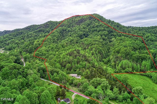 596 Devils Nose Rd, Rogersville, TN 37857 - aerial view of property and surrounding area featuring a heavily wooded area, property boundaries highlighted, and mountains