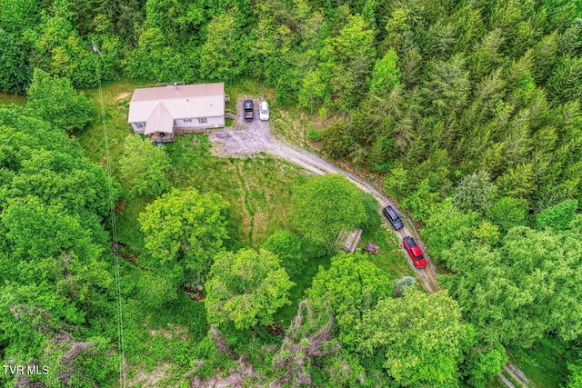 596 Devils Nose Rd, Rogersville, TN 37857 - aerial view of property's location