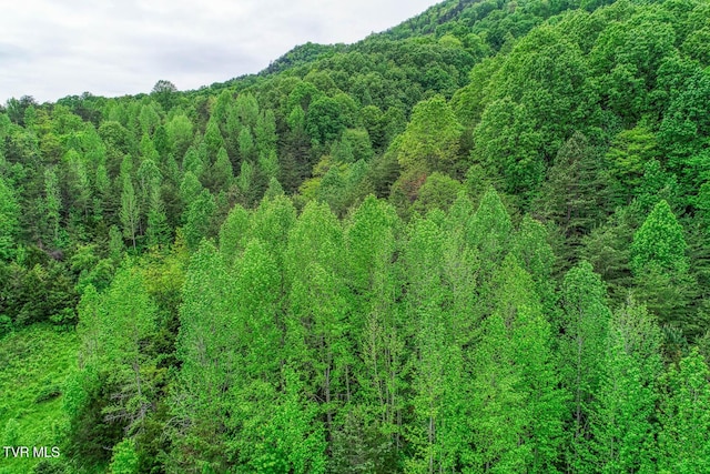 596 Devils Nose Rd, Rogersville, TN 37857 - view of mountain background with a heavily wooded area