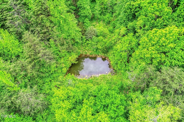 596 Devils Nose Rd, Rogersville, TN 37857 - drone / aerial view of a large body of water