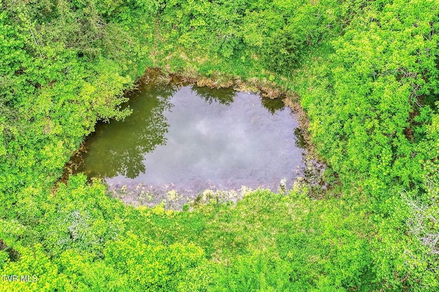 596 Devils Nose Rd, Rogersville, TN 37857 - bird's eye view