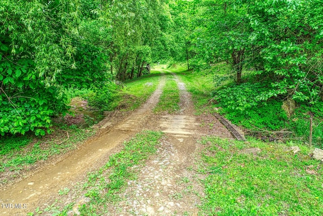 596 Devils Nose Rd, Rogersville, TN 37857 - view of dirt / gravel road
