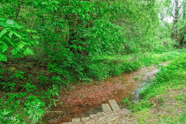 596 Devils Nose Rd, Rogersville, TN 37857 - view of undeveloped land