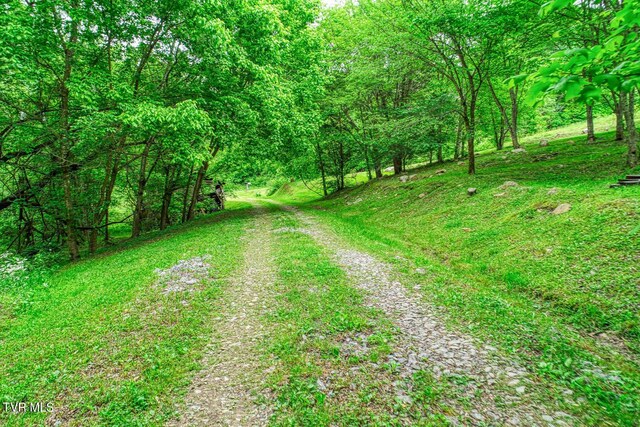 596 Devils Nose Rd, Rogersville, TN 37857 - view of street with a view of trees