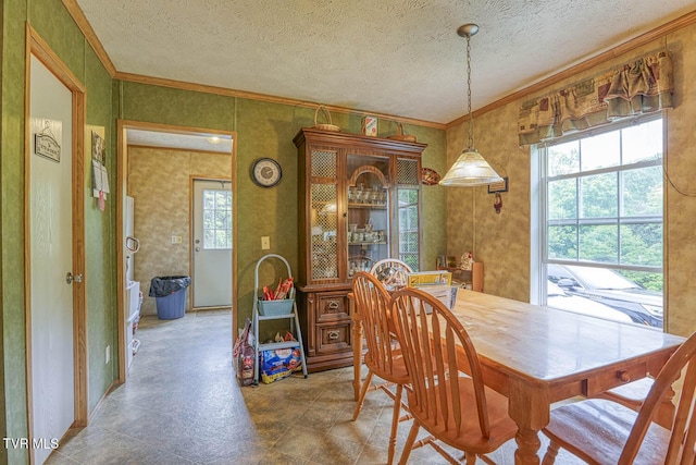 596 Devils Nose Rd, Rogersville, TN 37857 - dining area featuring ornamental molding, a textured ceiling, and wallpapered walls
