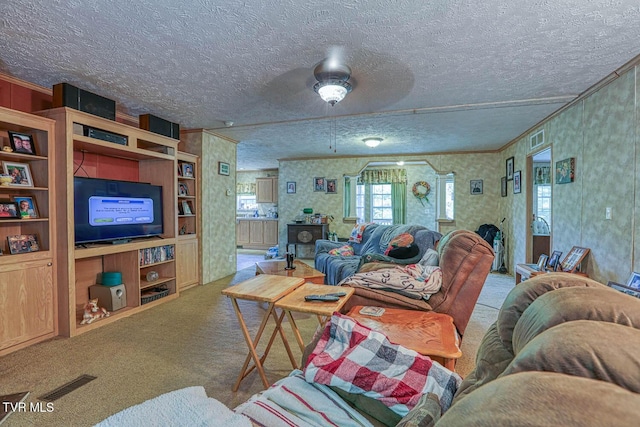 596 Devils Nose Rd, Rogersville, TN 37857 - living room with carpet flooring, a textured ceiling, and wallpapered walls