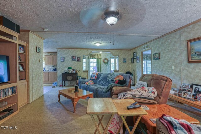 596 Devils Nose Rd, Rogersville, TN 37857 - carpeted living area featuring a textured ceiling, ornamental molding, ceiling fan, and wallpapered walls