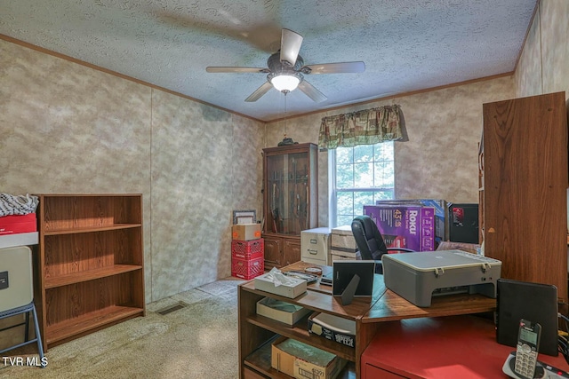 596 Devils Nose Rd, Rogersville, TN 37857 - office with ceiling fan, crown molding, carpet, and a textured ceiling