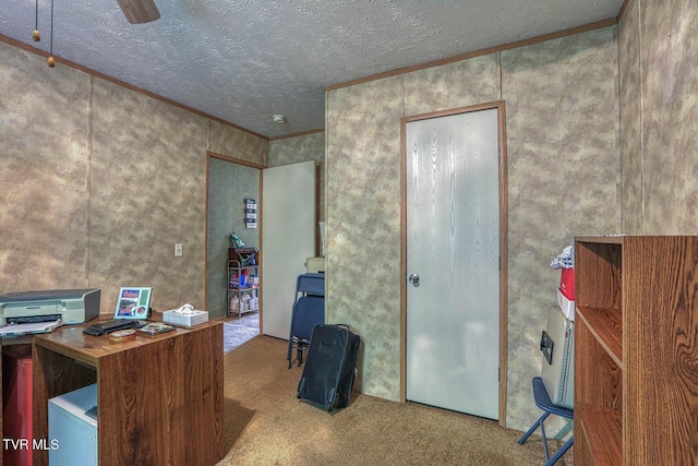 596 Devils Nose Rd, Rogersville, TN 37857 - carpeted office with crown molding and a textured ceiling