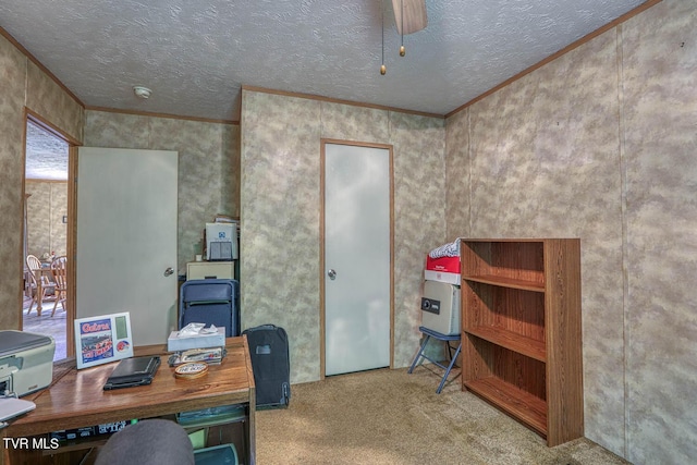 596 Devils Nose Rd, Rogersville, TN 37857 - office space featuring crown molding, carpet floors, and a textured ceiling