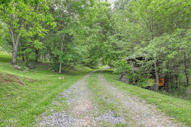 596 Devils Nose Rd, Rogersville, TN 37857 - view of street featuring a wooded view
