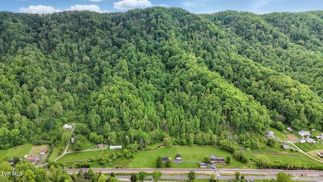 view of property location with a heavily wooded area