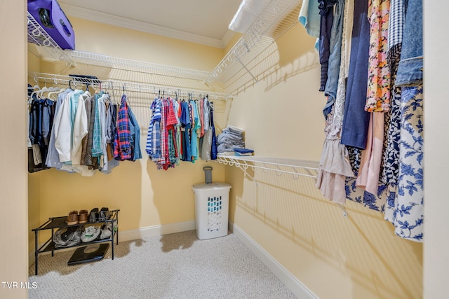 spacious closet with carpet