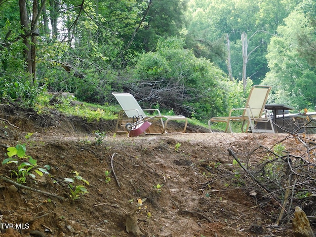 4314 Big Hill Rd, Pennington Gap, VA 24277 - view of yard with a wooded view