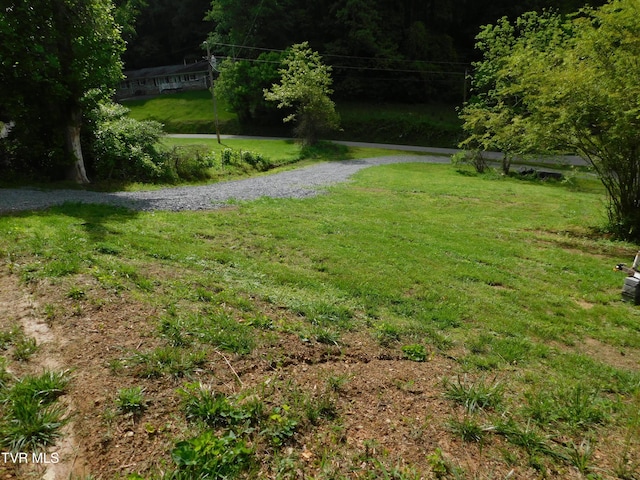 4314 Big Hill Rd, Pennington Gap, VA 24277 - view of property's community featuring a yard