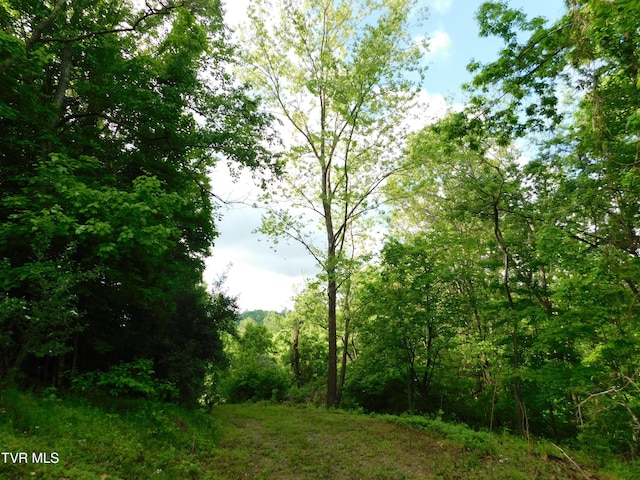 4314 Big Hill Rd, Pennington Gap, VA 24277 - view of woods