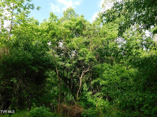 4314 Big Hill Rd, Pennington Gap, VA 24277 - view of tree filled area