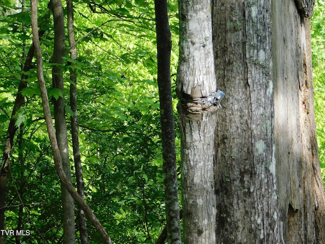 4314 Big Hill Rd, Pennington Gap, VA 24277 - view of nature