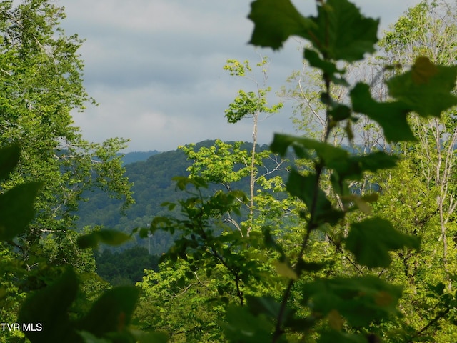 4314 Big Hill Rd, Pennington Gap, VA 24277 - mountain view featuring a forest