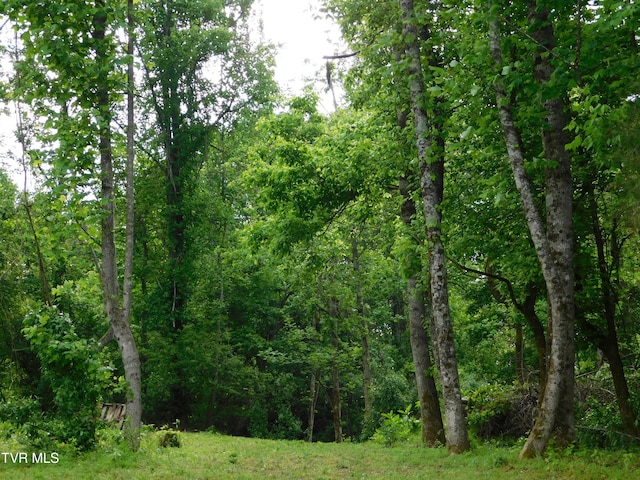 4314 Big Hill Rd, Pennington Gap, VA 24277 - view of tree filled area