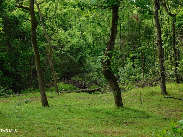 4314 Big Hill Rd, Pennington Gap, VA 24277 - view of wooded area